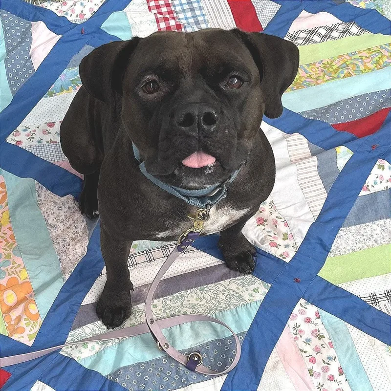 Doby thumbnail 2