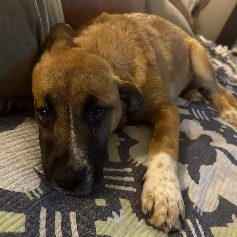 Lovely Rita thumbnail 2