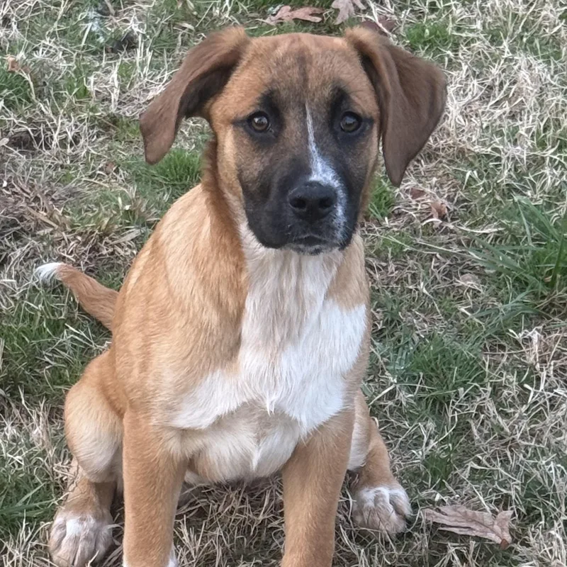 Lovely Rita thumbnail 5