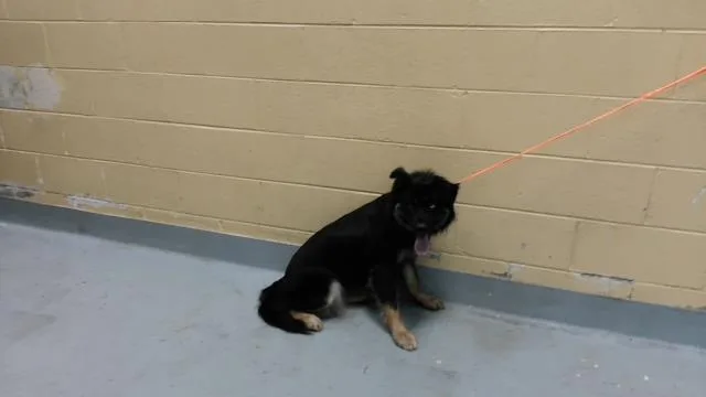 Wishing Well