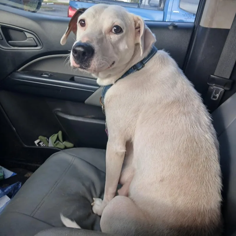 Zaya  Mom thumbnail 2