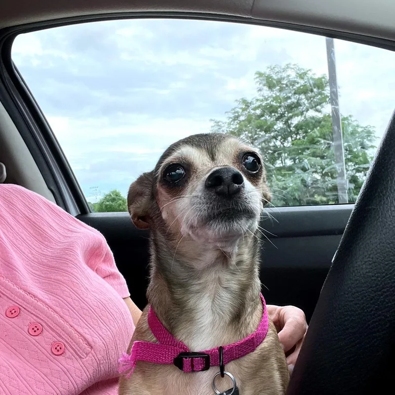 Molly thumbnail 2