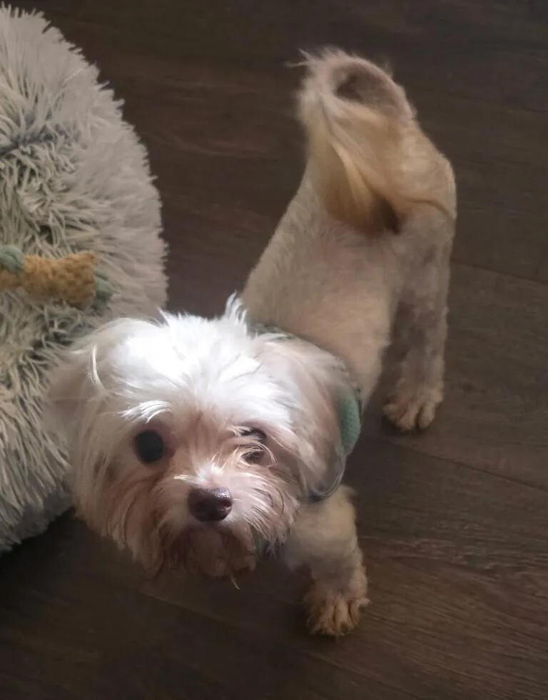 Chloe
