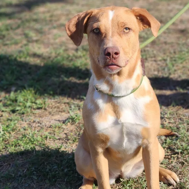 Hazel Jum thumbnail 4