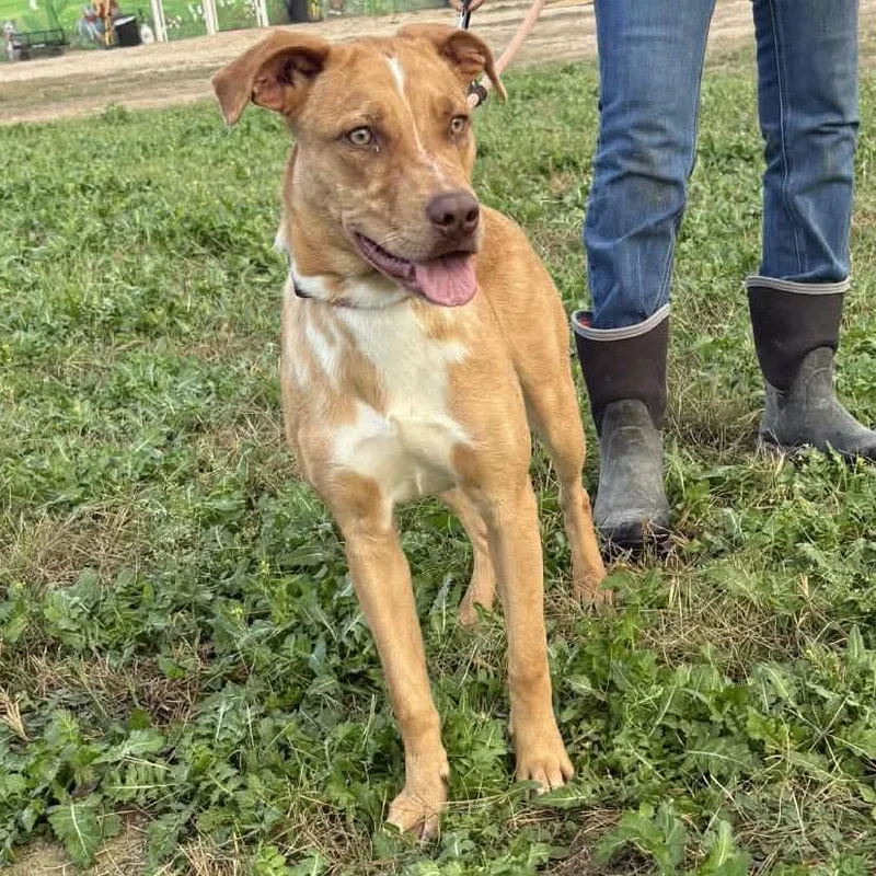 Hazel Jum thumbnail 5