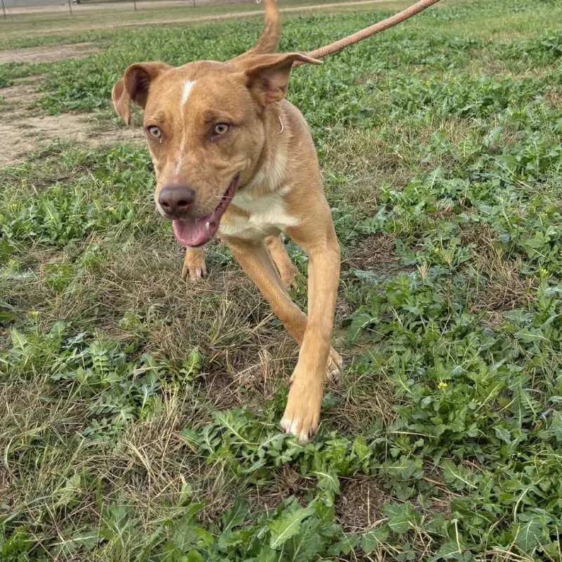 Hazel Jum thumbnail 6