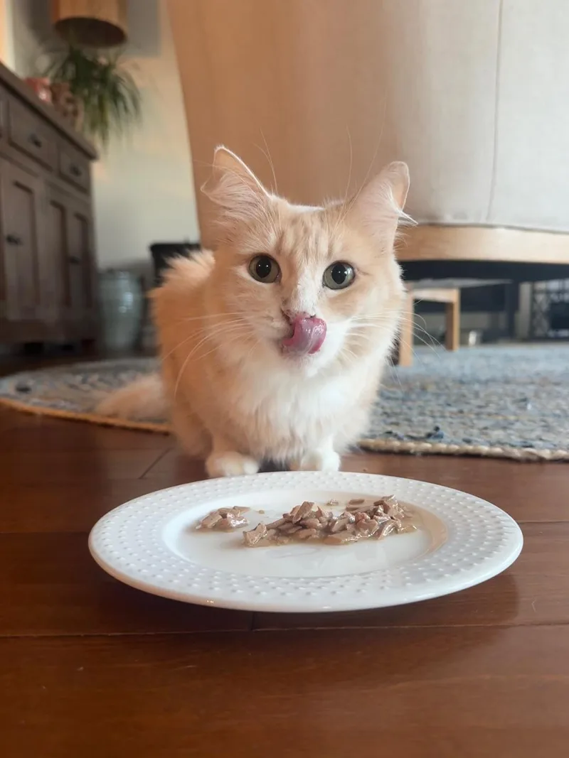 Goldilocks thumbnail 2