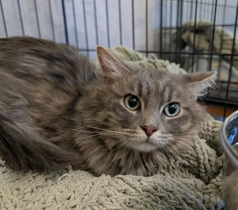 Gus thumbnail 2