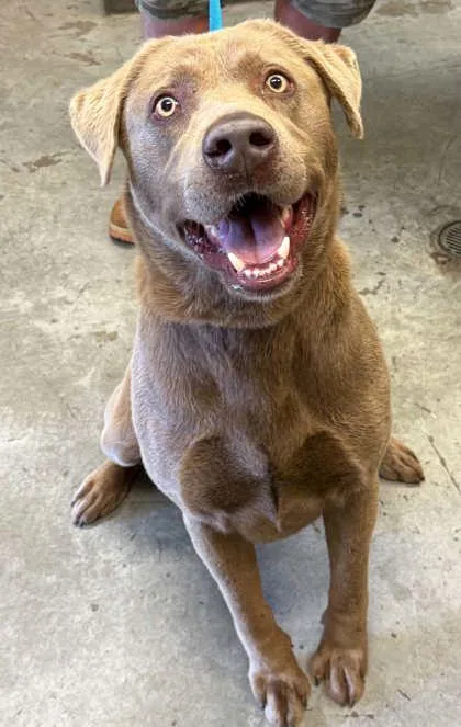 Gus