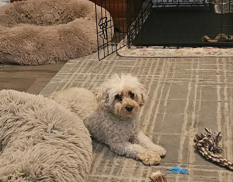 Sunshine thumbnail 2