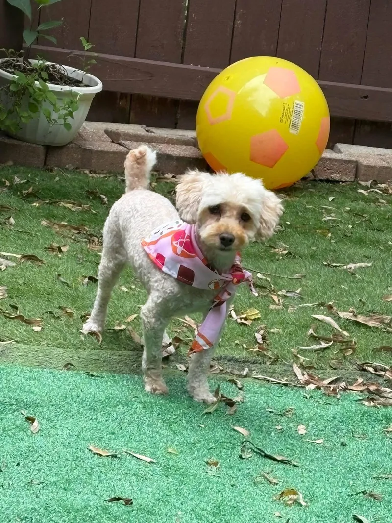 Sunshine thumbnail 3