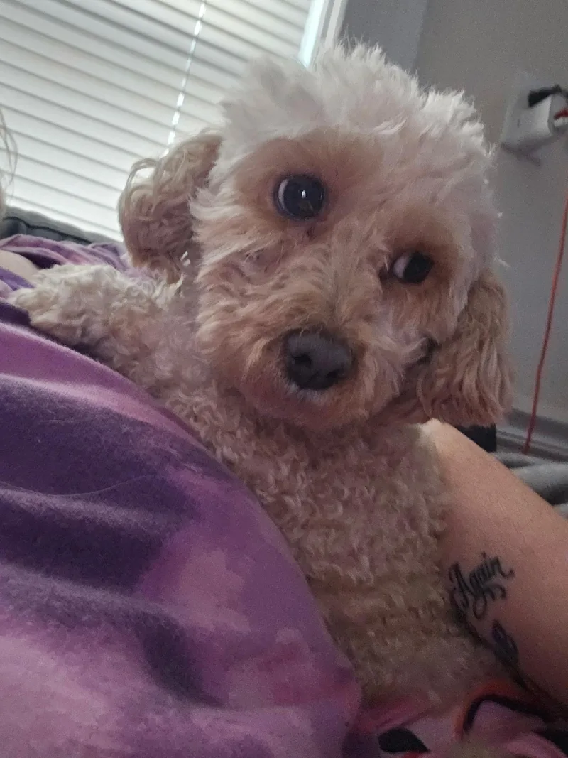 Sunshine thumbnail 4