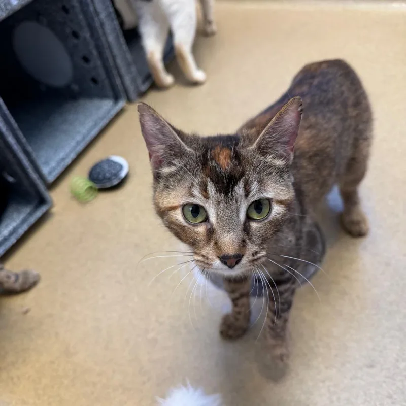 Harrisburg thumbnail 2