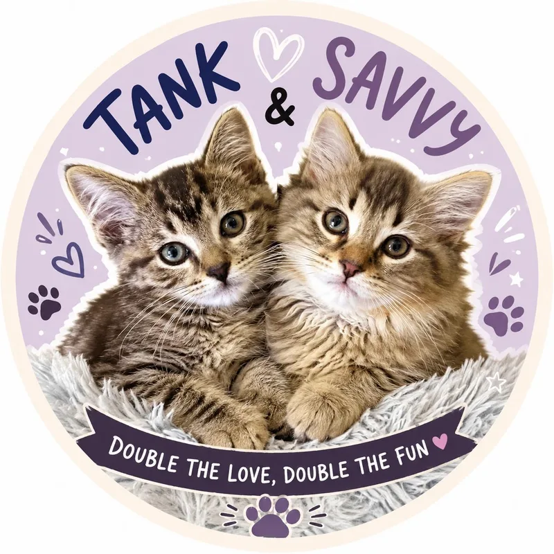 Tank&savvy thumbnail 5