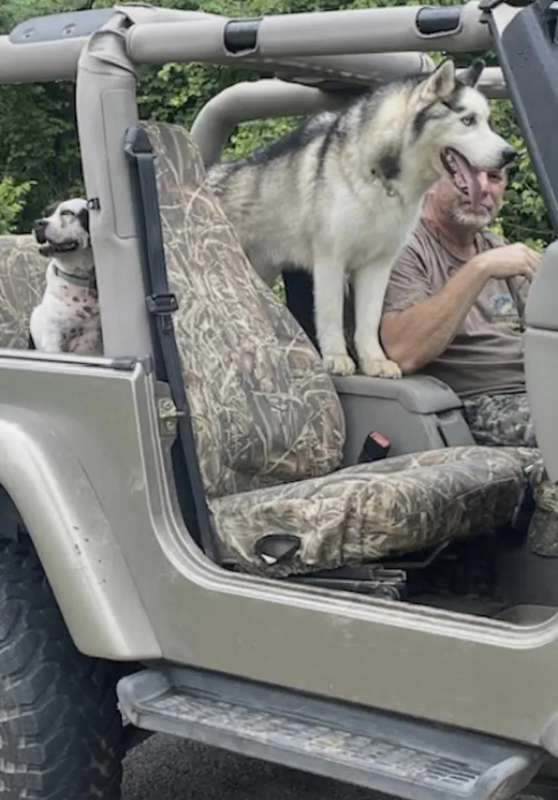 Woofie thumbnail 4