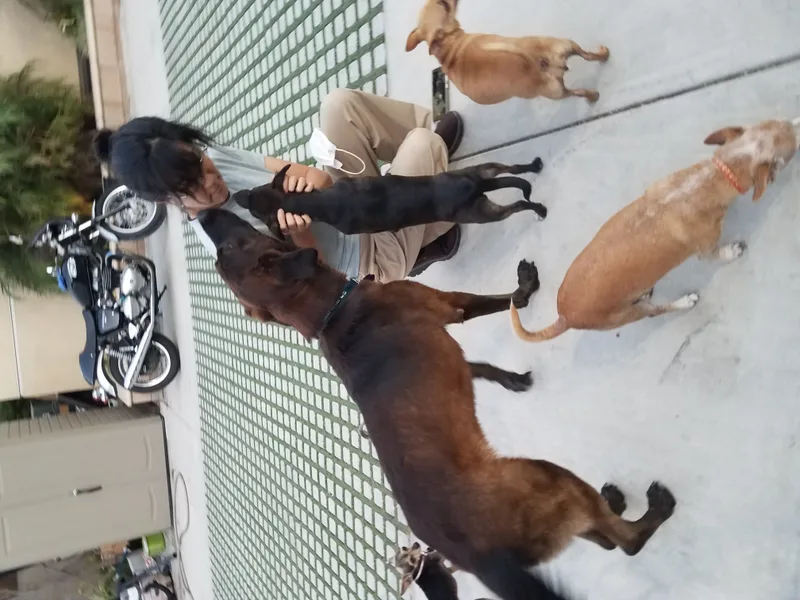 Miles Of Love thumbnail 4