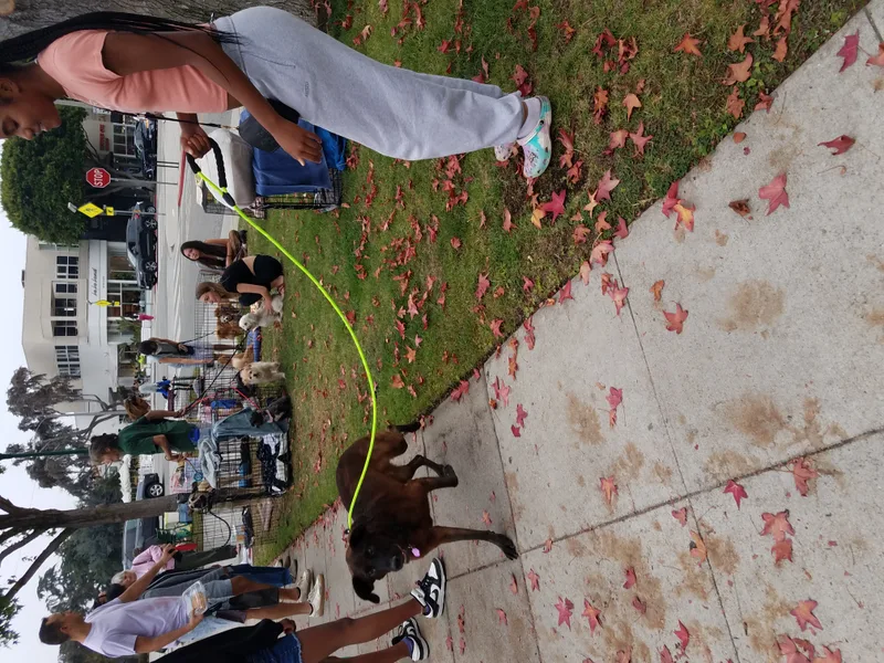 Miles Of Love thumbnail 6