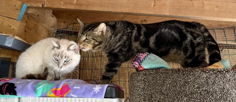 George Mcfly thumbnail 2