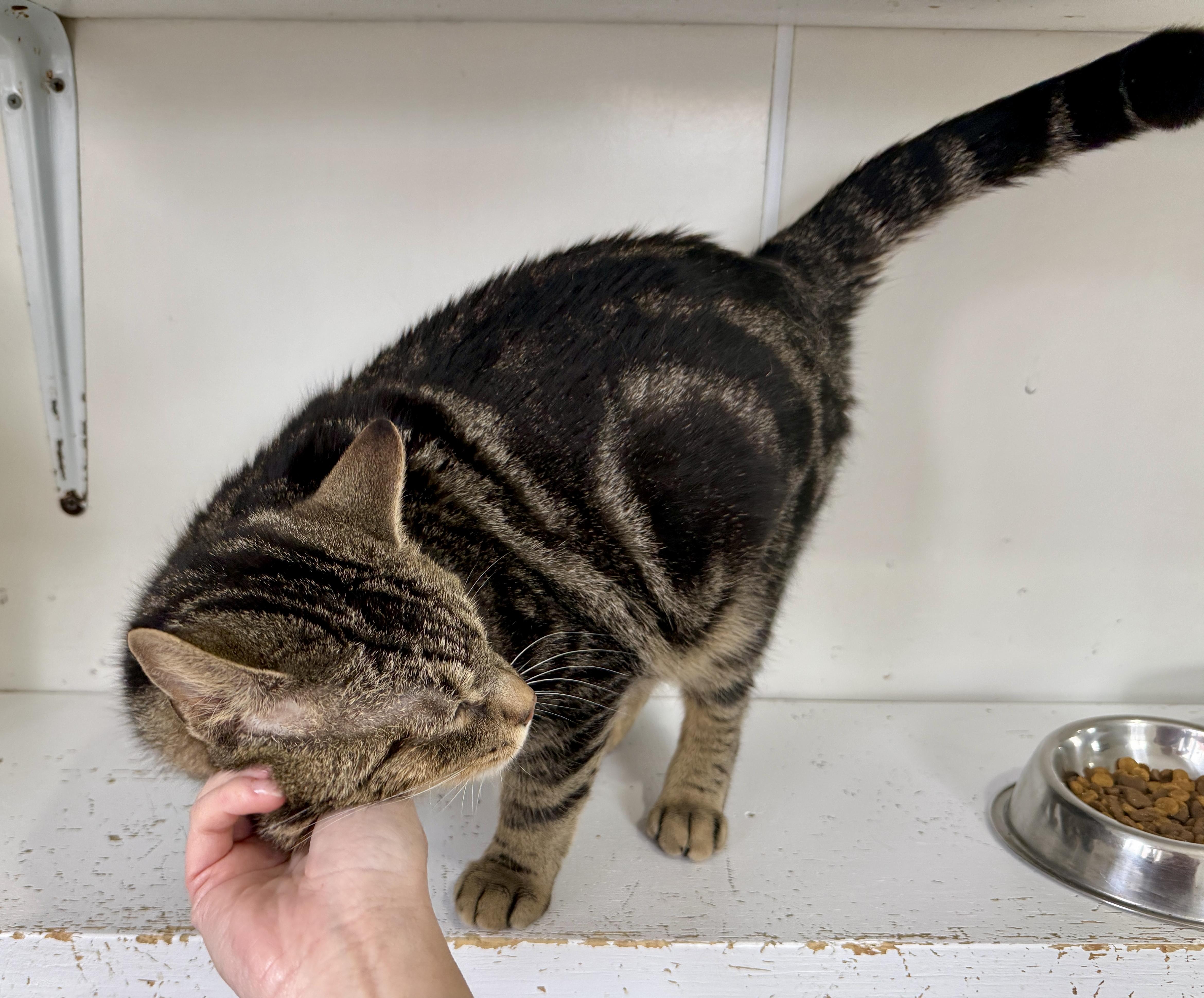 George Mcfly thumbnail 3