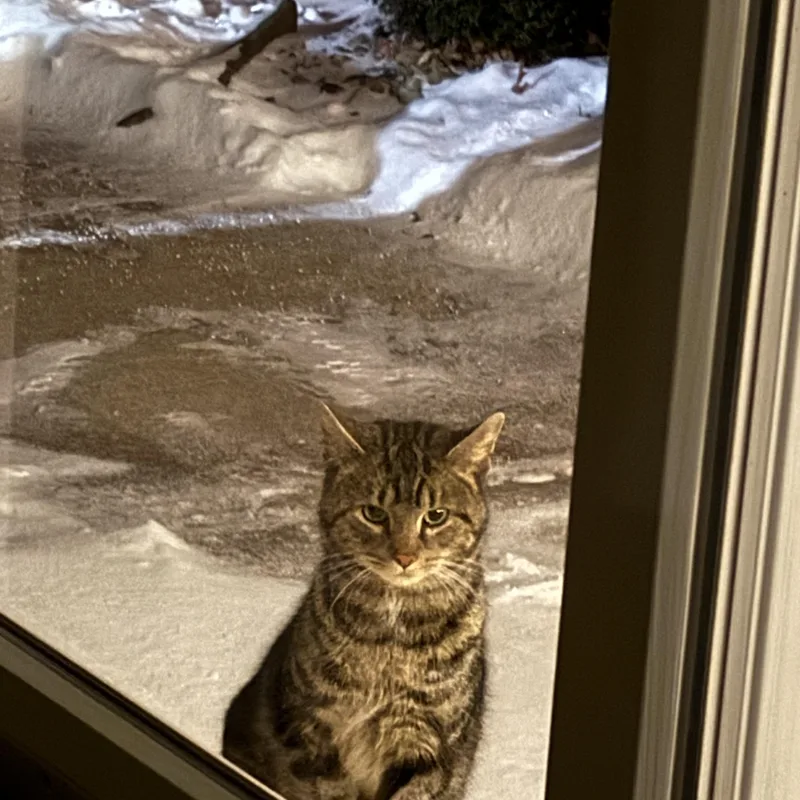 George Mcfly thumbnail 6