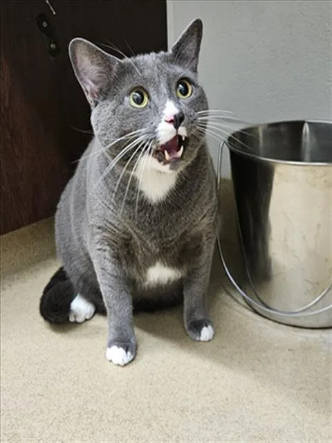 Tom