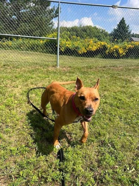 Skittles thumbnail 2