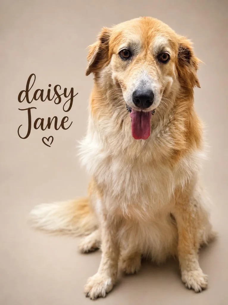 Daisy Jane