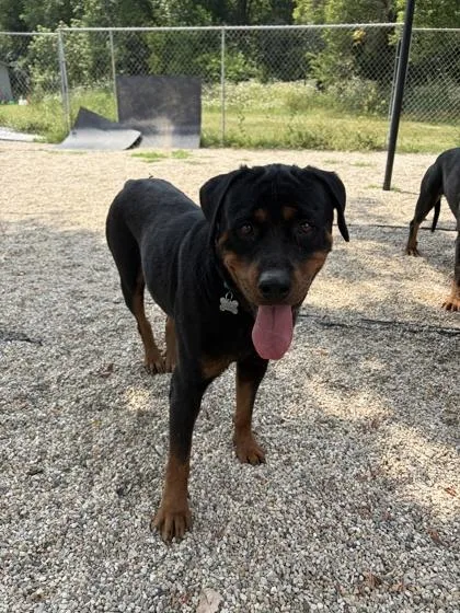 Skye