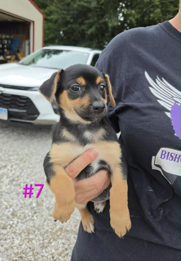 Trudy thumbnail 3