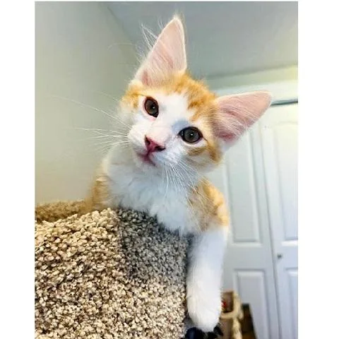 Sunny thumbnail 3