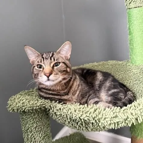 Whiskey & Bourbon thumbnail 3