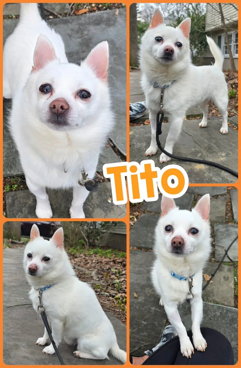 Tito