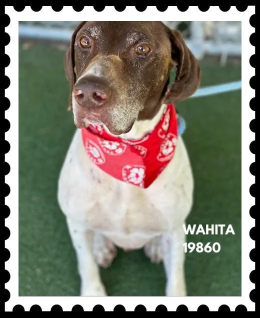 Wahita thumbnail 2
