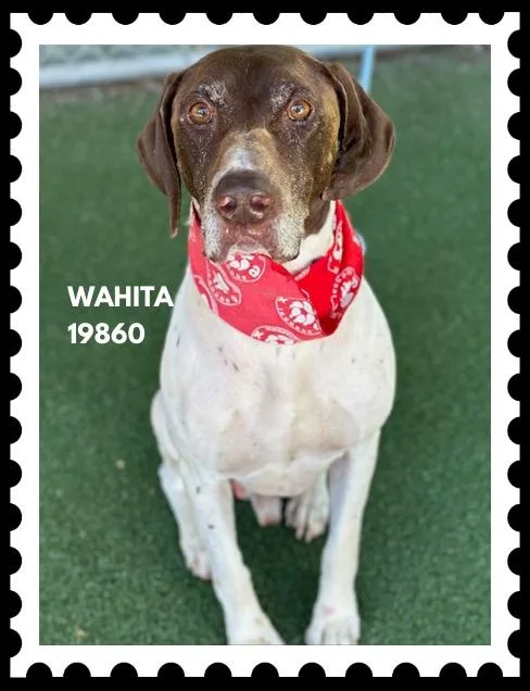 Wahita thumbnail 3
