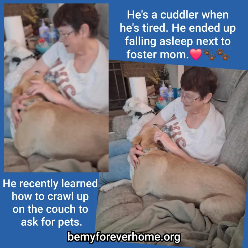 Connelly thumbnail 4