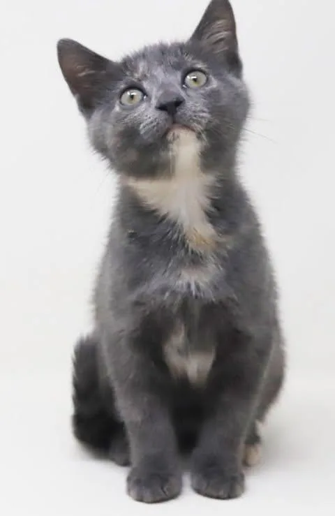 Izzy is a LOVE thumbnail 5
