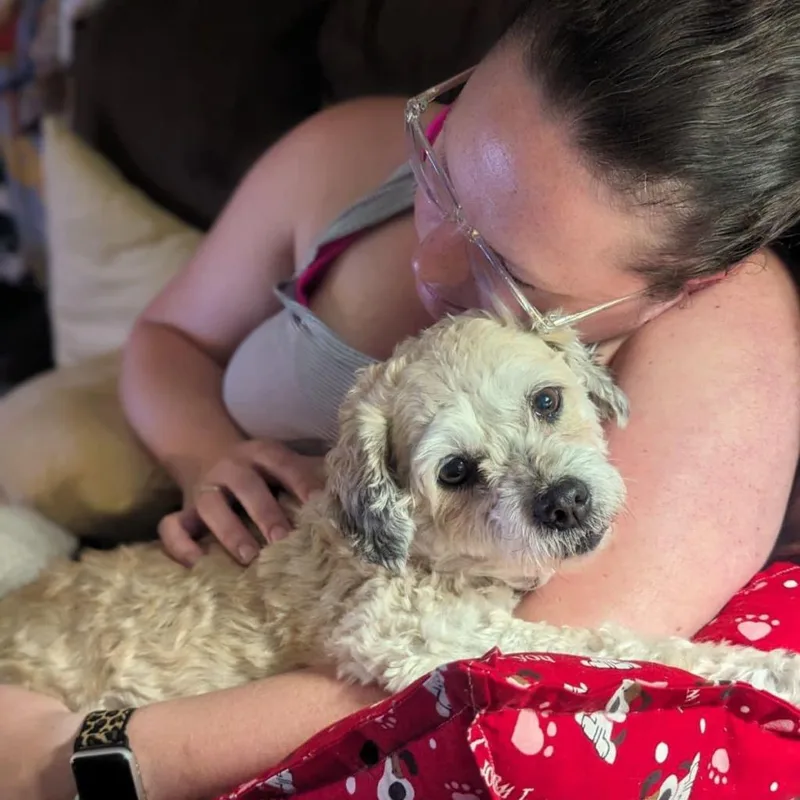 Hufflepuff thumbnail 2