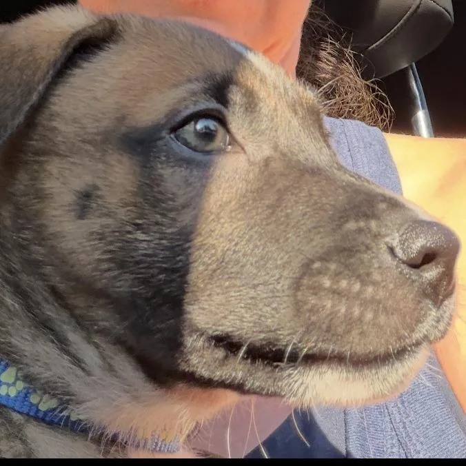 Titus thumbnail 2