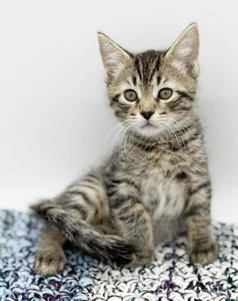 Dawson Is So Darn thumbnail 4