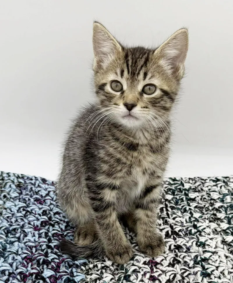 Dawson Is So Darn thumbnail 5