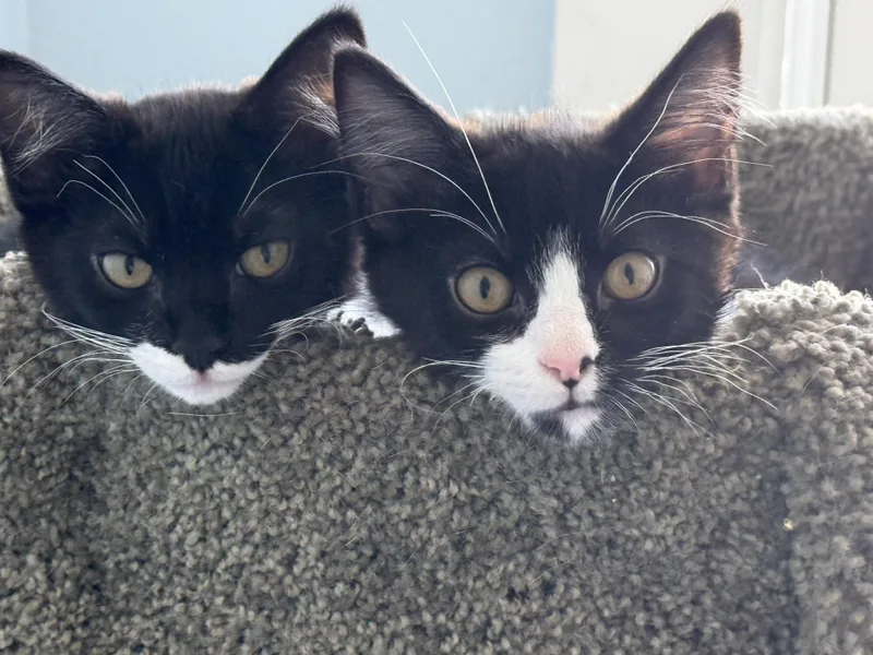 Fred And Ethyl thumbnail 2