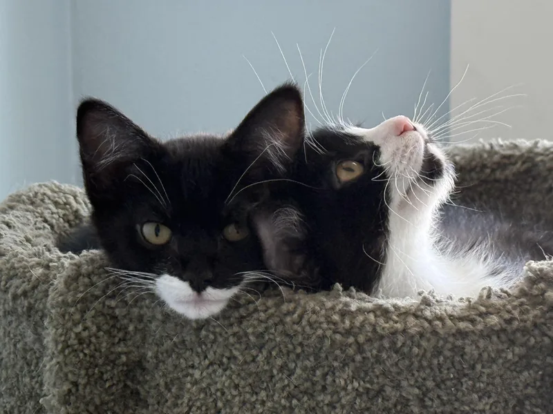 Fred And Ethyl thumbnail 4