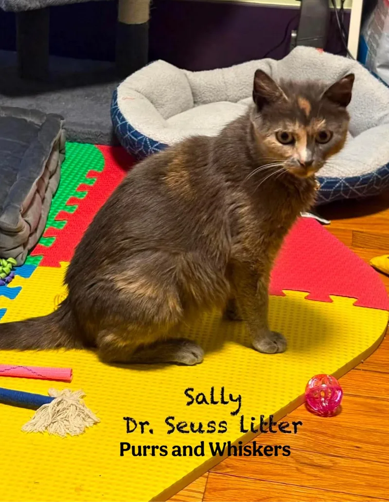 Sally thumbnail 2