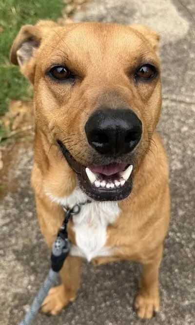 Mason