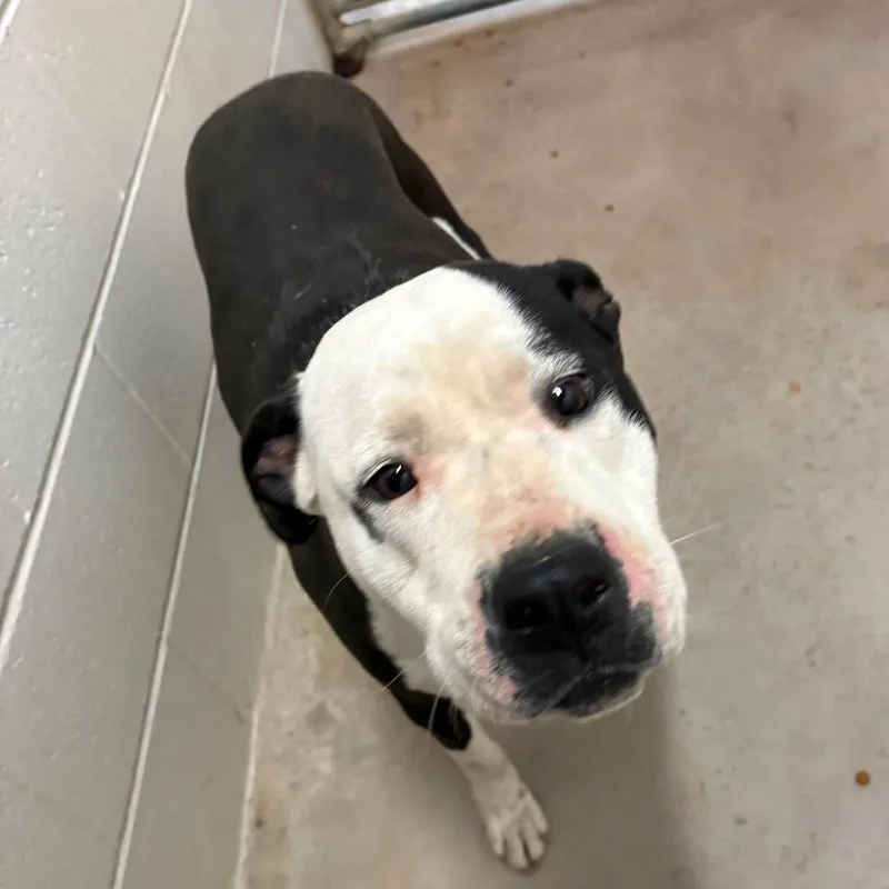 Mochi  U thumbnail 2