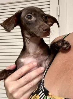 Winnie thumbnail 2