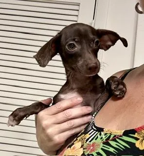 Winnie thumbnail 4