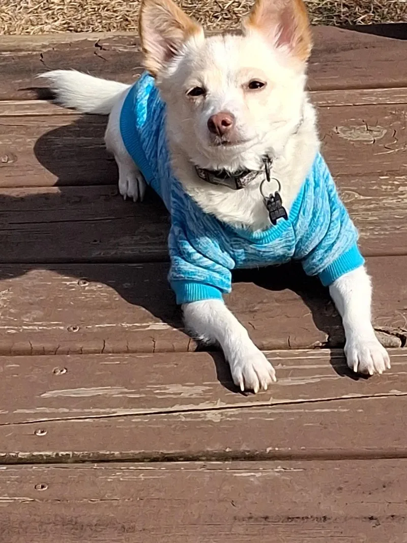 Gretchen thumbnail 2