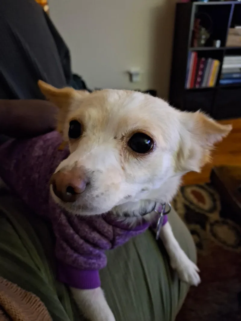 Gretchen thumbnail 4