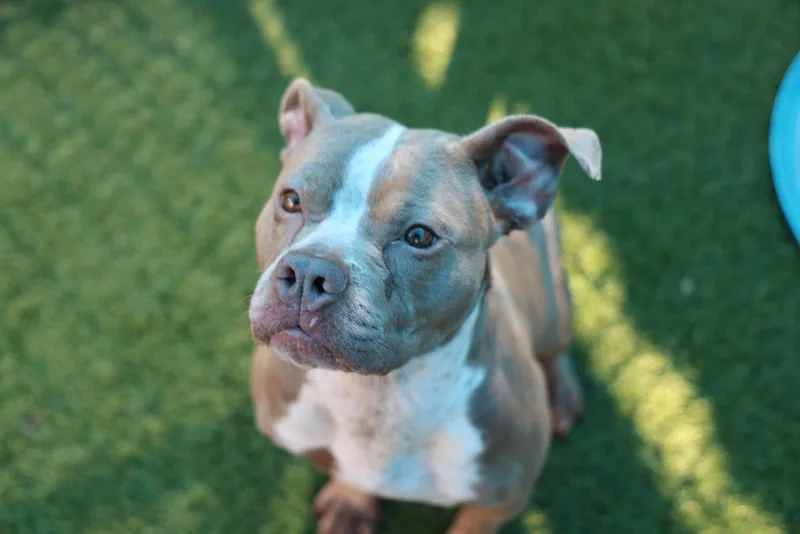 Sparkles thumbnail 2